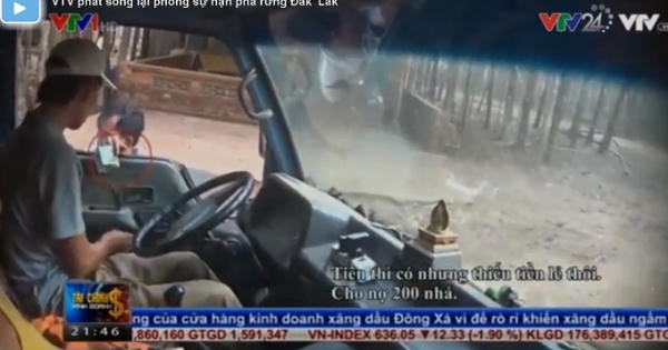 VTV24 "phản pháo" lại vụ phóng sự phá rừng bị tố dàn dựng