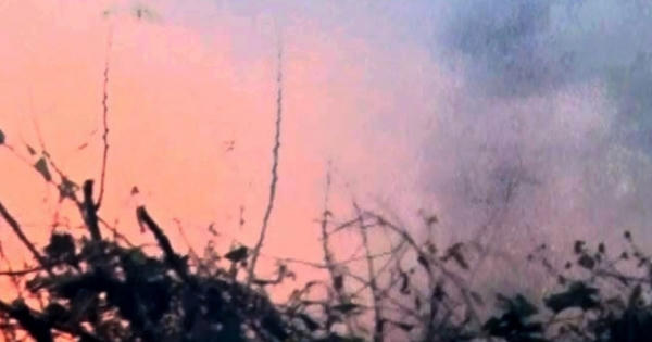 Sét đánh gây cháy rừng ở Bắc Kạn