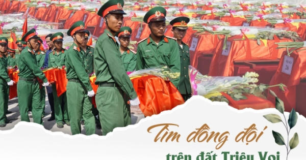 Tìm đồng đội trên đất Triệu Voi