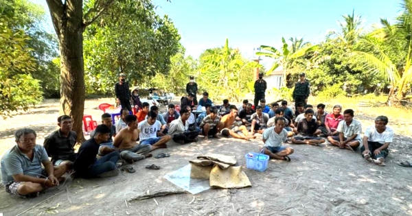 Tây Ninh: Bắt 33 đối tượng đánh bạc bằng hình thức đá gà ăn tiền