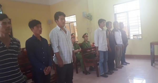 Ăn trộm sò, 9 ngư dân hầu tòa
