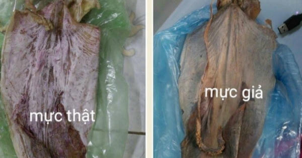 Giật mình mực "cao su" bán tràn lan ở các chợ Hà Nội