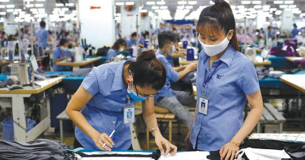 Lợi nhuận năm 2020 của Dệt may Thành Công cao kỷ lục, cổ phiếu tăng giá 4 lần trong 3 tháng