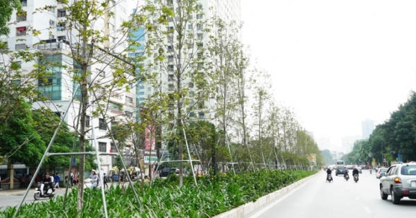 Bắt Giám đốc Ban Duy tu các công trình thuộc Sở Xây dựng Hà Nội