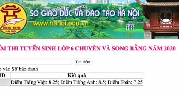 Tra cứu điểm thi vào lớp 6 trường Amsterdam Hà Nội nhanh nhất