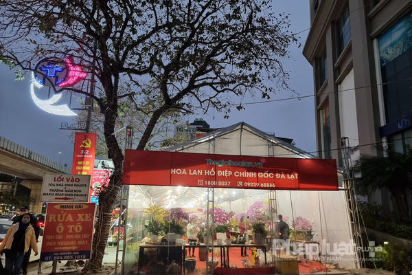 Hà Nội: Ẩn họa cháy nổ từ những nhà bán bày hoa lan ngày Tết