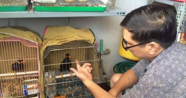 Đại gia chi tiền “khủng” không mua được chú chim biết niệm Phật Đại gia chi tiền “khủng” không mua được chú chim biết niệm Phật