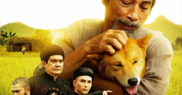 'Tẩy chay' phim Cậu Vàng vì con chó: Đừng mạo hiểm với vấn đề nhạy cảm