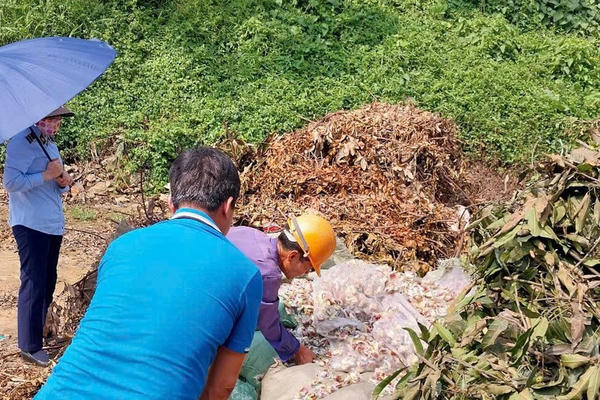 Tiêu hủy 300kg táo đỏ khô kẹp sữa hạt điều không rõ nguồn gốc