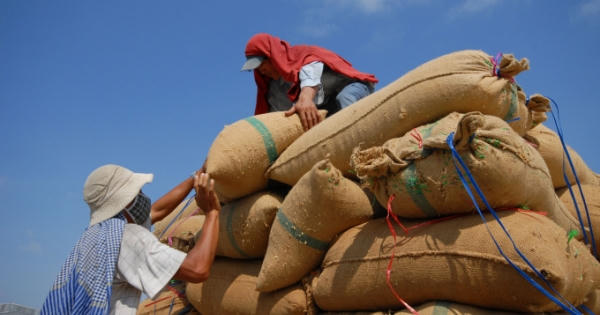 Tăng trưởng kinh tế Việt Nam 6 tháng đầu năm đạt 5,64%, là mức khá cao trên thế giới