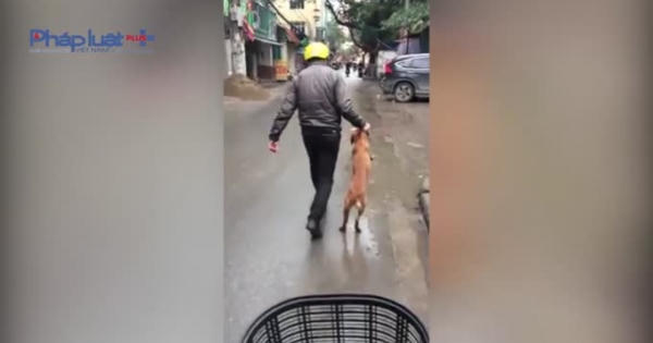 Cộng đồng mạng dậy sóng với người đàn ông hành hạ chó trên đường