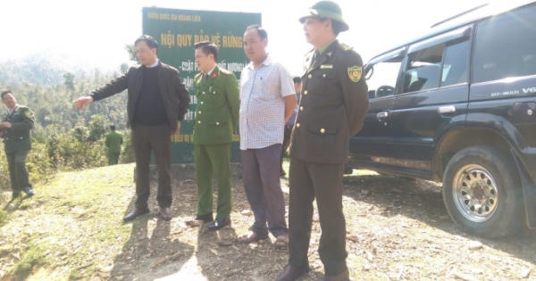 Lào Cai: Nâng cao hiệu quả quản lý, bảo vệ và phát triển rừng