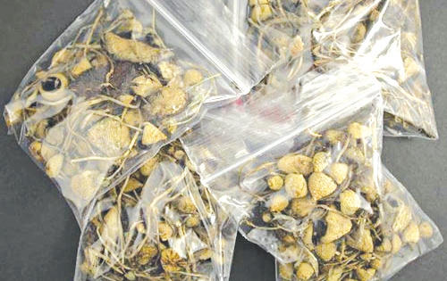 Cảnh giác ma túy mới cực độc