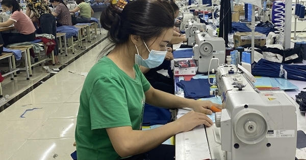 Chậm đóng tiền BHXH, BHYT Công ty TNHH Thống Nhất bị xử phạt
