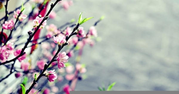 Vì sao tháng 1 âm lịch được gọi là tháng Giêng? Vì sao tháng 1 âm lịch được gọi là tháng Giêng?