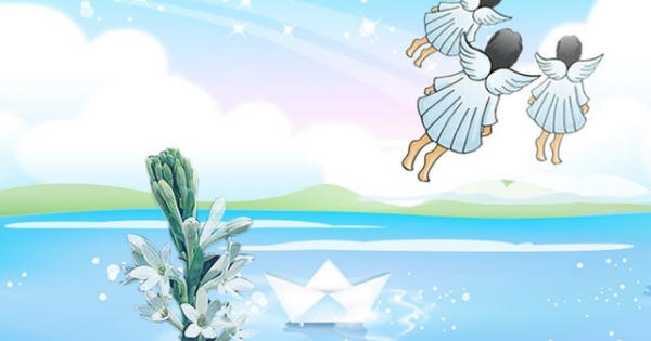 Những đôi cánh thiên thần bay về miền cực lạc!