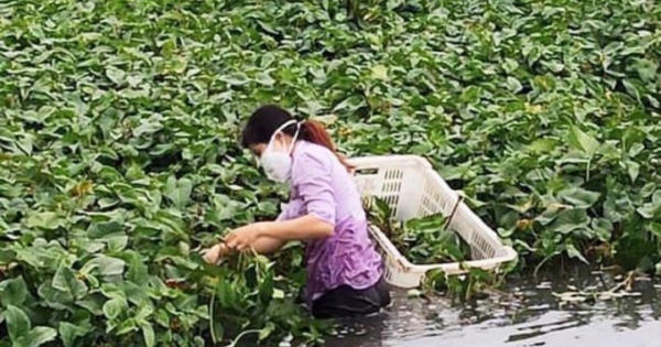 Những phụ nữ quên mình vì cộng đồng