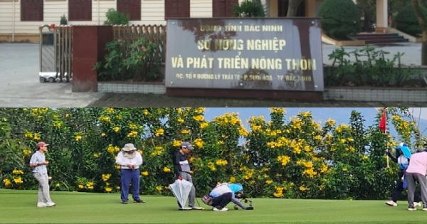 Giám đốc sở đi chơi golf trong giờ hành chính: Phó Thủ tướng yêu cầu xử lý nghiêm nếu có vi phạm