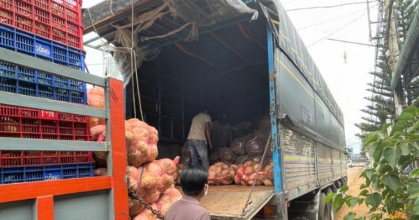 Khi lòng tốt bị lợi dụng Khi lòng tốt bị lợi dụng