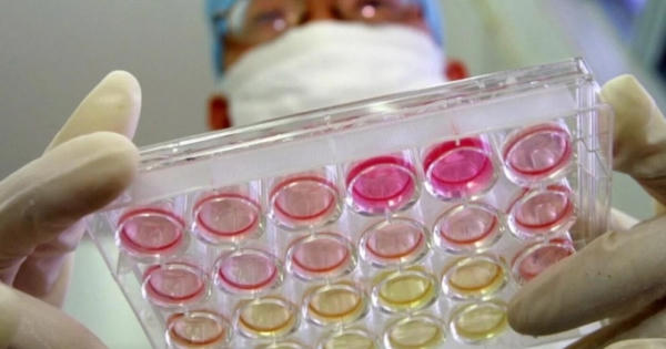 Nghiên cứu của Mỹ, Anh có thể “giải oan” nguồn gốc COVID-19 ở Vũ Hán