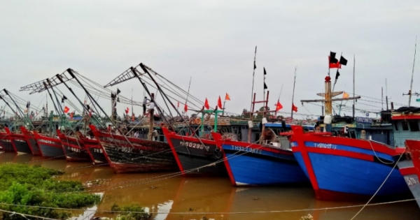 Thanh Hóa : Nghiêm túc thực hiện công tác phòng chống lụt bão