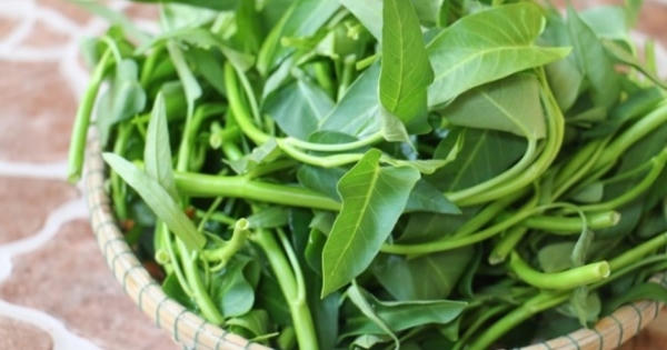 Những loại thực phẩm dễ bị nhiễm chì nhất và cách nhận biết