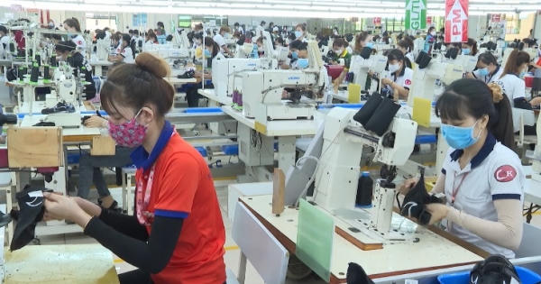 Tiếp tục điều chỉnh tuổi nghỉ hưu đối với người lao động