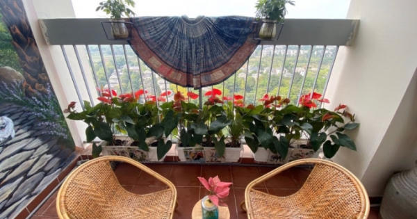Tài biến rác thành nghệ thuật của giám đốc “xây vườn quê” giữa lòng Ecopark