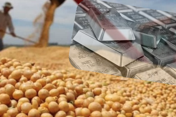 Thị trường nông sản và kim loại quý đồng loạt tăng Thị trường nông sản và kim loại quý đồng loạt tăng