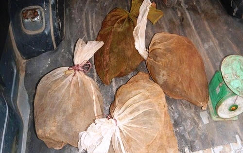 Quảng Bình: Bắt quả tang 4 cá thể Cầy quý hiếm được cất giấu trong xe Quảng Bình: Bắt quả tang 4 cá thể Cầy quý hiếm được cất giấu trong xe