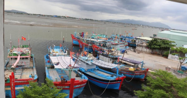 Tạm dừng tàu cá ra khơi ở Bà Rịa - Vũng Tàu từ ngày 26/8 Tạm dừng tàu cá ra khơi ở Bà Rịa - Vũng Tàu từ ngày 26/8