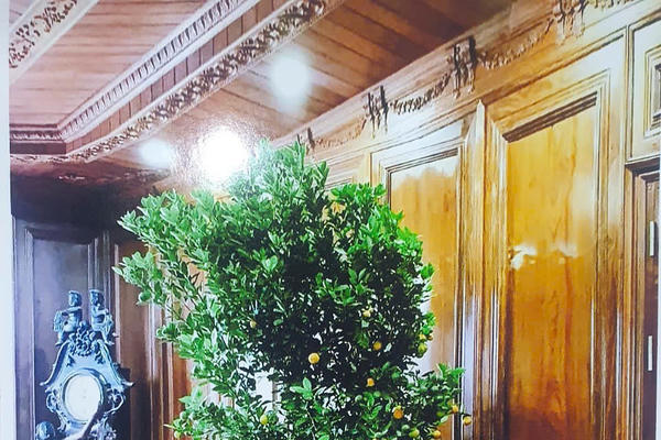 Quảng Ninh: Các cơ quan chức năng cần sớm giải quyết dứt điểm kiến nghị của công dân