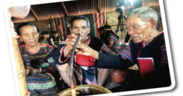 Năm mới “đốt bò” mừng thọ của người M’Nông