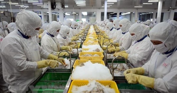 Luật Thống kê hướng tới cung cấp thông tin kịp thời và xác thực