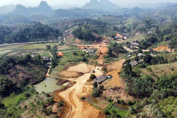 Hàng trăm ha diện tích rừng ở Tuyên Quang chưa được trồng thay thế