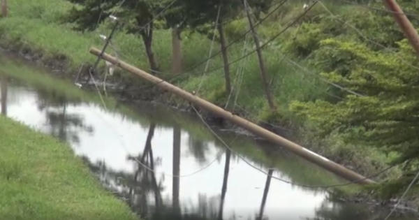 TP HCM: Trụ diện trung thế ngả nghiêng dọc kênh Chiến Lược