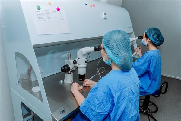 Hành trình tìm con của những cặp vợ chồng vô sinh