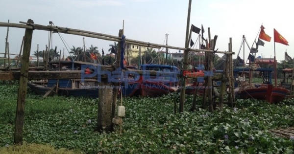 Thái Bình: Họp bàn giải quyết tình trạng 'nhảy dù' lấn chiếm bãi triều trái phép Thái Bình: Họp bàn giải quyết tình trạng 'nhảy dù' lấn chiếm bãi triều trái phép