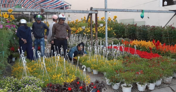 Đà Nẵng: Chợ hoa Tết nhộn nhịp cảnh mua bán ngày cận Tết Nguyên đán