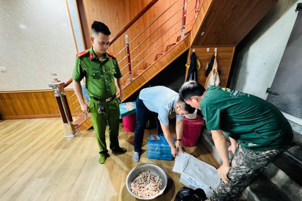 Quảng Ninh phát hiện gần 480kg thực phẩm đông lạnh không rõ nguồn gốc xuất xứ