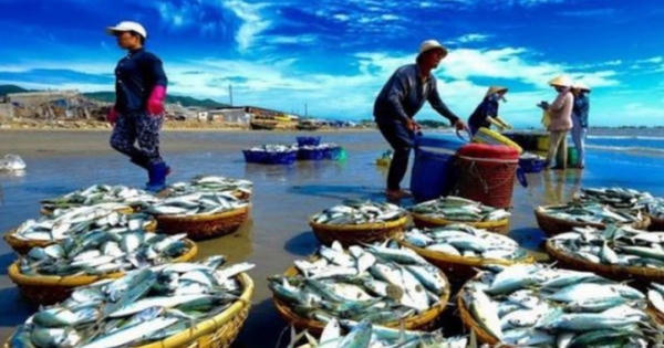 Nhận diện chiêu lừa đảo mạo danh các công ty xuất khẩu Na Uy