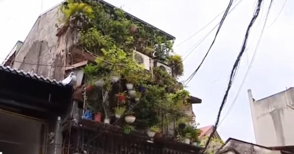 Những ngôi nhà 'chờ sập' tại Hà Nội