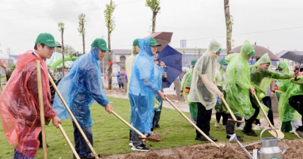 Hải Phòng: Khởi động chương trình trồng một triệu cây xanh