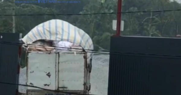 Phú Thọ: Nghi vấn Công ty môi trường tuồn rác thải nguy hại ra môi trường? Phú Thọ: Nghi vấn Công ty môi trường tuồn rác thải nguy hại ra môi trường?