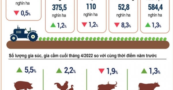 INFOGRAPHIC: Tình hình Kinh tế - Xã hội tháng 4 và 4 tháng đầu năm 2022