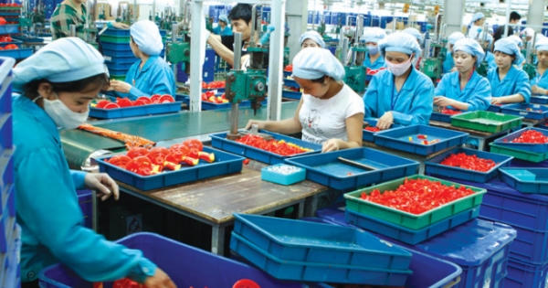Doanh nghiệp nhỏ và vừa: Không chỉ cần hỗ trợ bằng tiền