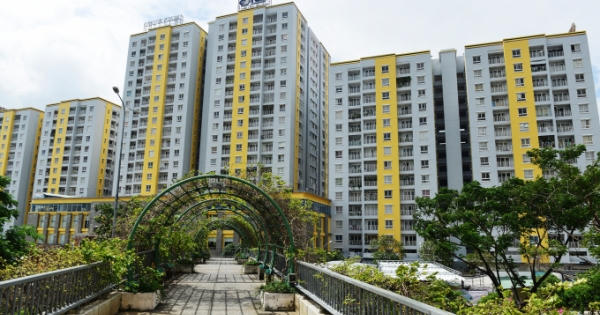 Nhà cung cấp dịch vụ có được ứng cử Ban quản trị chung cư không?