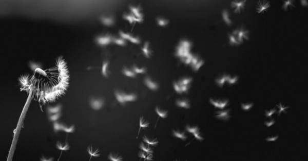 Tu tâm dưỡng tính, lấy tình thương để khắc chế nóng giận Tu tâm dưỡng tính, lấy tình thương để khắc chế nóng giận