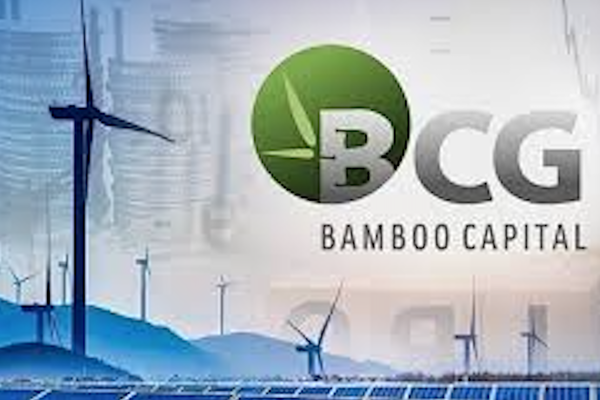 Tập đoàn Bamboo Capital bị xử phạt