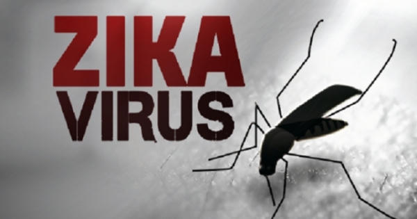 Phát hiện kháng thể giúp sản xuất vắc xin chống được vi rút Zika